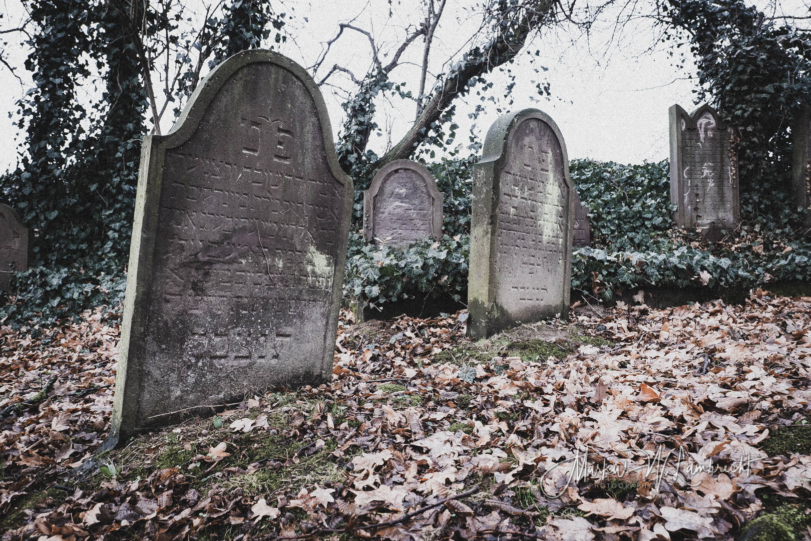 Dassel, Jüdischer Friedhof